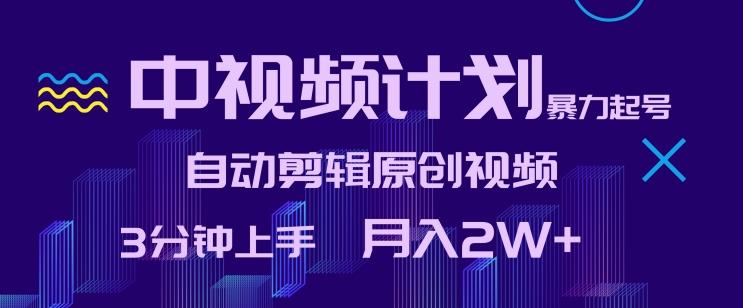 中视频计划暴力起号，自动剪辑原创视频，3分钟上手，月入2W+【揭秘】-云泽轻创网
