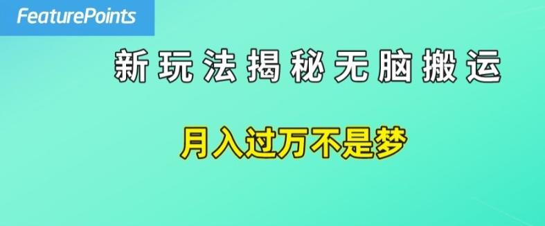 简单操作，每天50美元收入，搬运就是赚钱的秘诀【揭秘】-云泽轻创网
