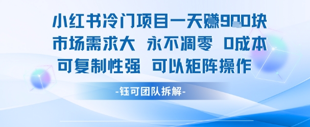 小红书冷门项目一天收益9张，市场需求大，0成本，可复制性强可以矩阵操作-云泽轻创网