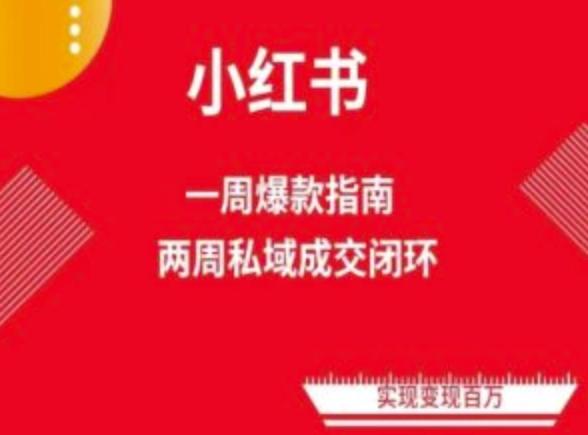 爆款小红书免费流量体系课程(两周变现)，小红书电商教程-云泽轻创网