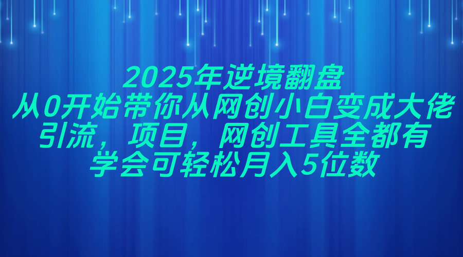 2025年逆境翻盘，从0开始带你从网创小白变成大佬，引流，项目，网创工…-云泽轻创网
