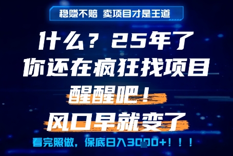 什么？25年你还在疯狂找项目做，醒醒吧，看完这些你全都懂了！【揭秘】-云泽轻创网
