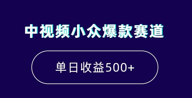 中视频小众爆款赛道，7天涨粉5万+，小白也能无脑操作，轻松月入上万【揭秘】-云泽轻创网