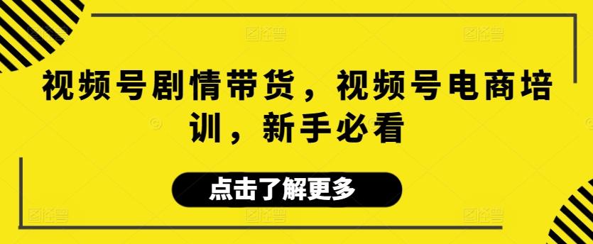 视频号剧情带货，视频号电商培训，新手必看-云泽轻创网