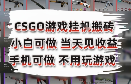 CSGO游戏挂G搬砖，小白纯手机即可操作，不用电脑打游戏，日入3张+，副业网创项目【揭秘】-云泽轻创网