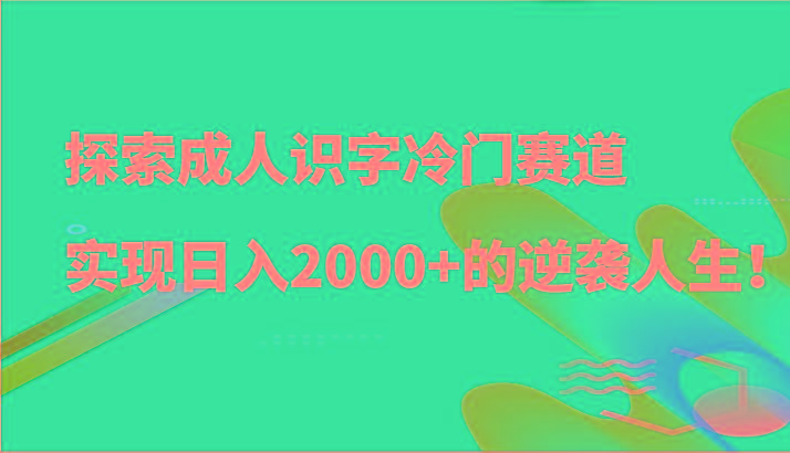 探索成人识字冷门赛道，实现日入2000+的逆袭人生！-云泽轻创网