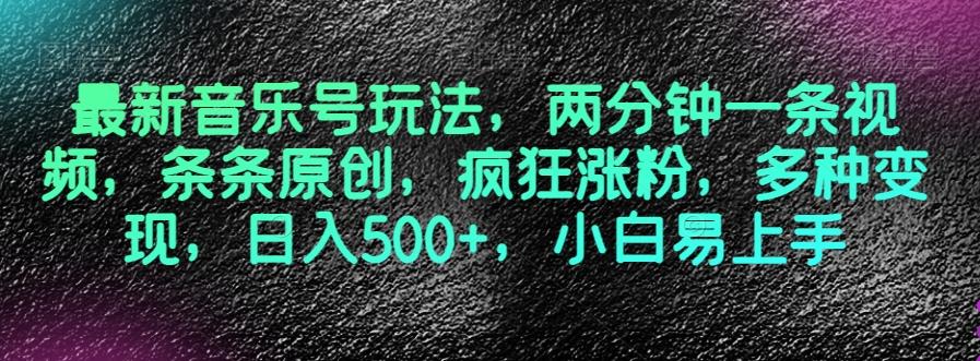 最新音乐号玩法，两分钟一条视频，条条原创，疯狂涨粉，多种变现，日入500+，小白易上手【揭秘】-云泽轻创网