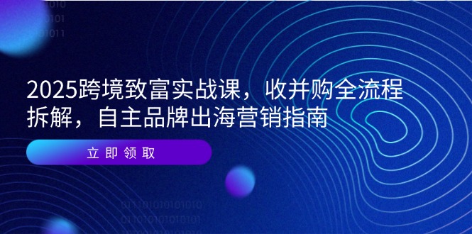 2025跨境致富实战课，收并购全流程拆解，自主品牌出海营销指南-云泽轻创网