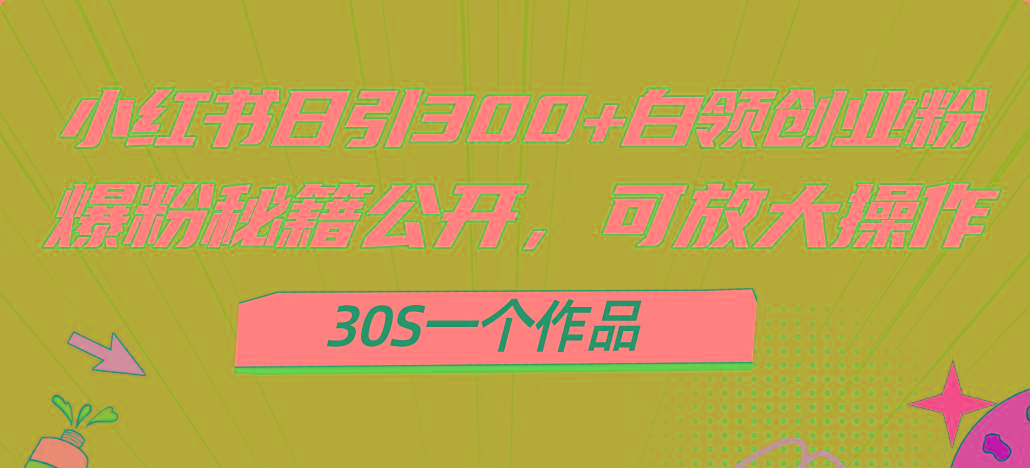 小红书日引300+高质白领创业粉，可放大操作，爆粉秘籍！30s一个作品-云泽轻创网