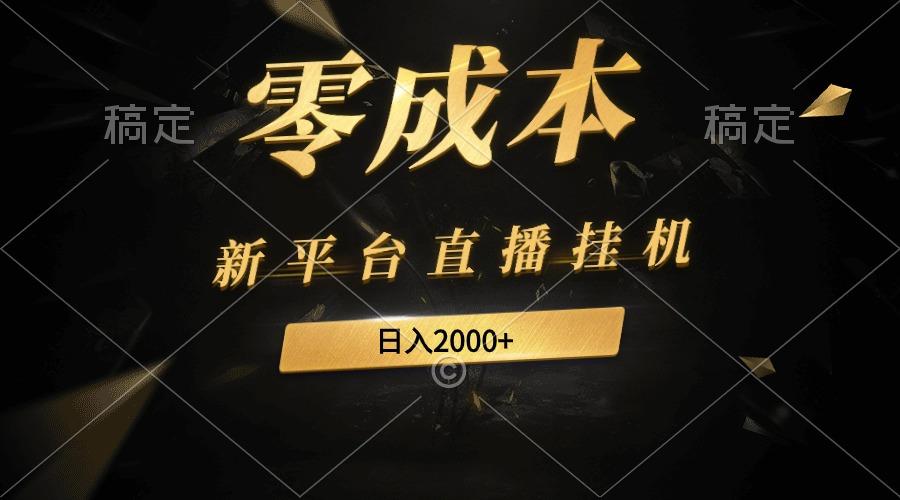 (9841期)新平台直播挂机最新玩法，0成本，不违规，日入2000+-云泽轻创网