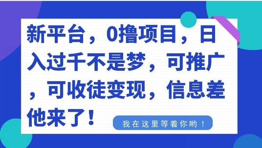 不要再花冤枉钱了，0撸项目，每天坚持，稳定1000+-云泽轻创网