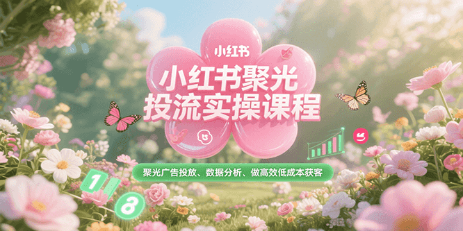 小红书聚光投流实操课程,聚光广告投放、数据分析、做高效低成本获客-云泽轻创网