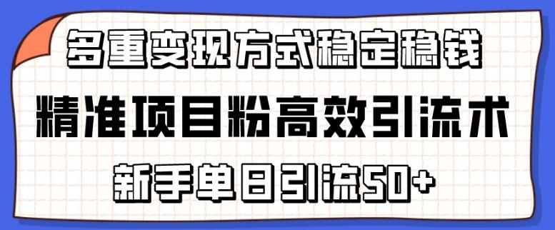 精准项目粉高效引流术，新手单日引流50+，多重变现方式稳定赚钱【揭秘】-云泽轻创网