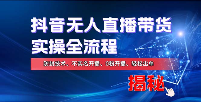 在线赚钱新途径：如何用抖音无人直播实现财务自由，全套实操流程，含...-云泽轻创网
