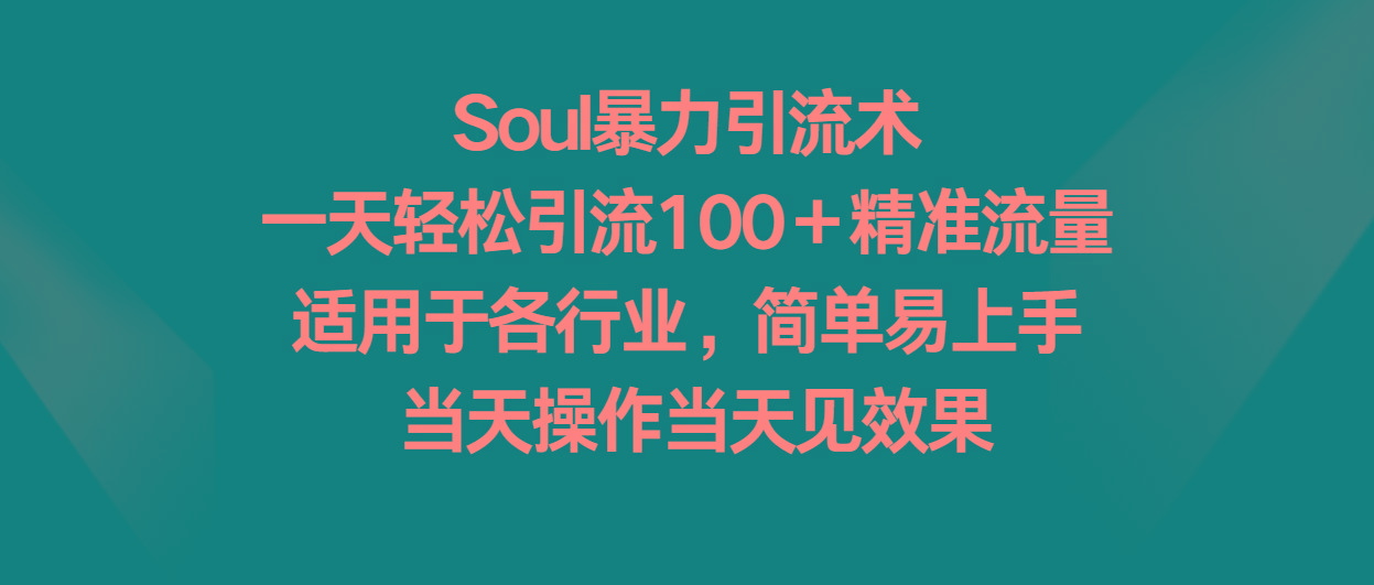 Soul暴力引流术，一天轻松引流100＋精准流量，适用于各行业，简单易上手！-云泽轻创网