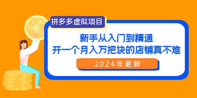 (9744期)拼多多虚拟项目：入门到精通，开一个月入万把块的店铺 真不难(24年更新)-云泽轻创网