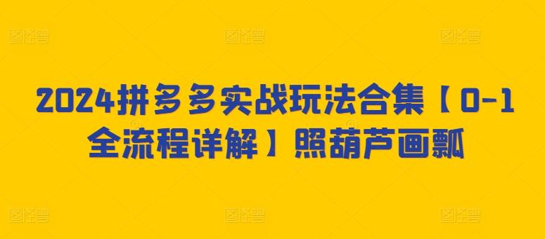 2024拼多多实战玩法合集【0-1全流程详解】照葫芦画瓢-云泽轻创网