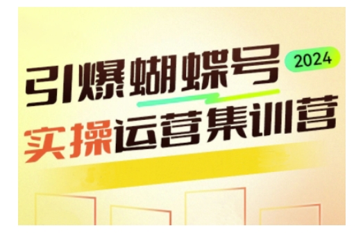 引爆蝴蝶号实操运营，助力你深度掌握蝴蝶号运营，实现高效实操，开启流量变现之路-云泽轻创网