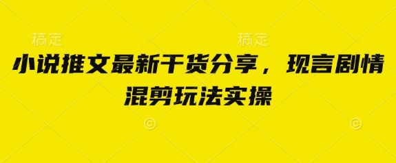 小说推文最新干货分享，现言剧情混剪玩法实操-云泽轻创网