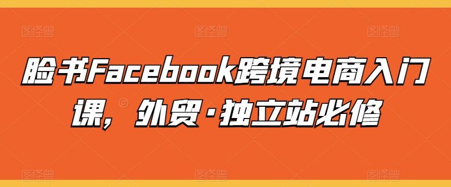 脸书Facebook跨境电商入门课，外贸·独立站必修-云泽轻创网