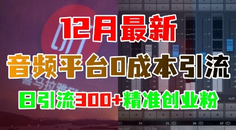 12月最新：音频平台0成本引流，日引流300+精准创业粉-云泽轻创网