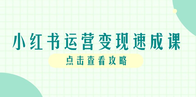 小红书运营变现速成课，账号搭建到暴力起号，个人IP全流程指南-云泽轻创网