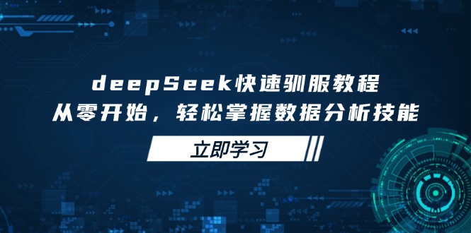 deepSeek快速驯服教程，从零开始，轻松掌握数据分析技能-云泽轻创网