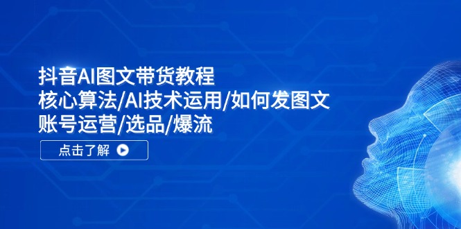 抖音AI图文带货教程：核心算法/AI技术运用/如何发图文/账号运营/选品/爆流-云泽轻创网