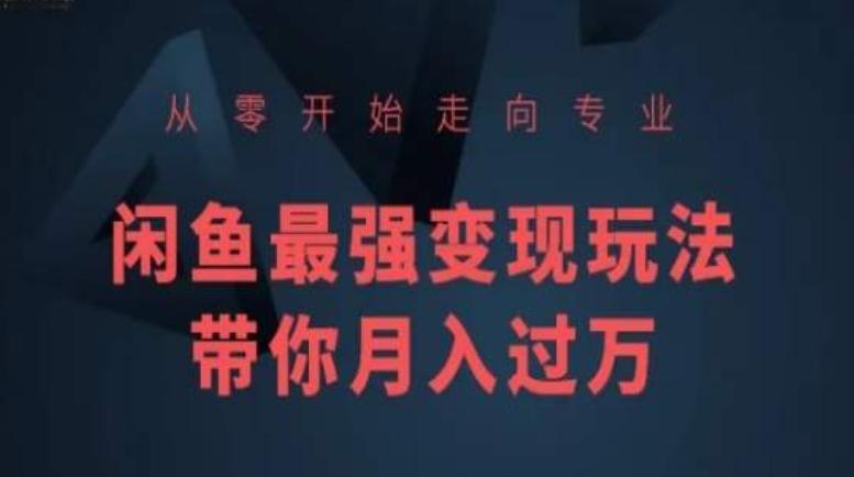 从零开始走向专业，闲鱼最强变现玩法带你月入过万-云泽轻创网