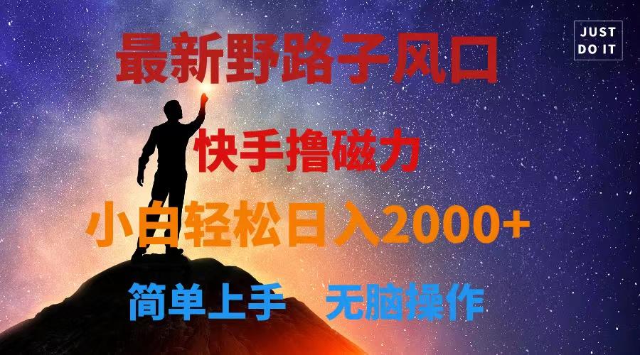 最新风口！快手撸磁力，野路子，小白无脑操作日入2000+-云泽轻创网