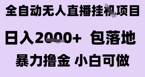 最新全自动抖音无人直播挂G项目，日入2k+ 包落地暴力撸金，小白可做【揭秘】-云泽轻创网