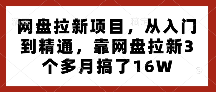 网盘拉新项目，从入门到精通，靠网盘拉新3个多月搞了16W-云泽轻创网