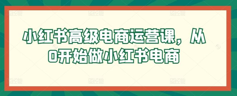 小红书高级电商运营课，从0开始做小红书电商-云泽轻创网
