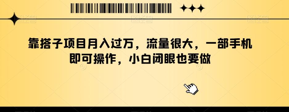 靠搭子项目月入过万，流量很大，一部手机即可操作，小白闭眼也要做-云泽轻创网