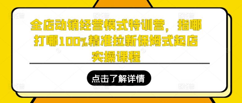 全店动销经营模式特训营，指哪打哪100%精准拉新保姆式起店实操课程-云泽轻创网