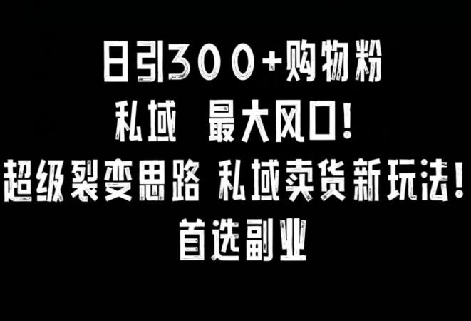 日引300+购物粉，超级裂变思路，私域卖货新玩法，小红书首选副业【揭秘】-云泽轻创网