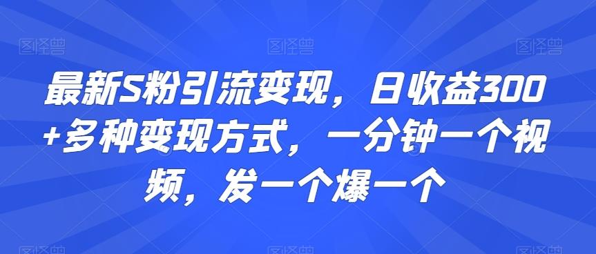 最新S粉引流变现，日收益300+多种变现方式，一分钟一个视频，发一个爆一个【揭秘】-云泽轻创网