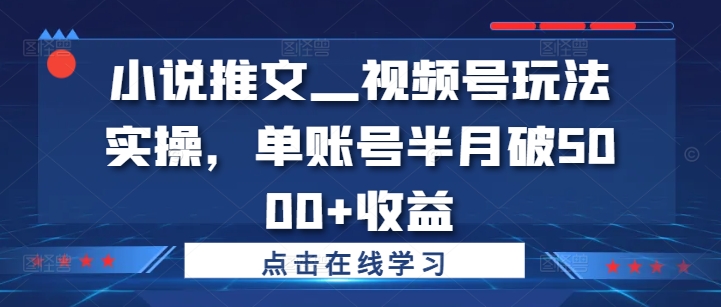 小说推文—视频号玩法实操，单账号半月破5000+收益-云泽轻创网