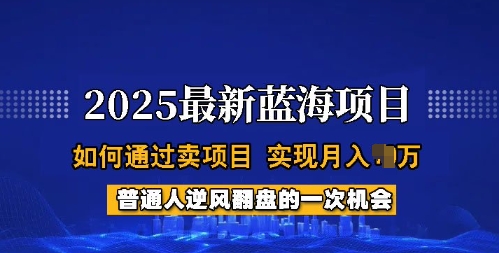 2025蓝海项目，普通人如何通过卖项目，实现月入过W，全过程【揭秘】-云泽轻创网