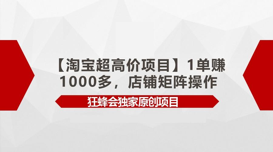 【淘宝超高价项目】1单赚1000多，店铺矩阵操作-云泽轻创网