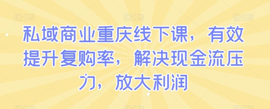 私域商业重庆线下课，有效提升复购率，解决现金流压力，放大利润-云泽轻创网