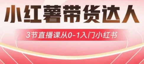 小红薯达人带货启航计划，3节直播课从0-1入门小红书-云泽轻创网