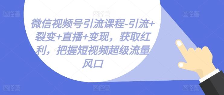 微信视频号引流课程-引流+裂变+直播+变现，获取红利，把握短视频超级流量风口-云泽轻创网