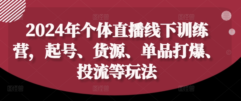 2024年个体直播训练营，起号、货源、单品打爆、投流等玩法-云泽轻创网