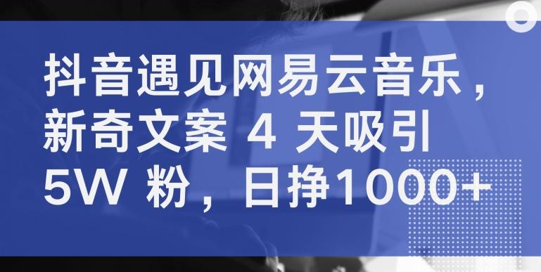 抖音遇见网易云音乐，新奇文案 4 天吸引 5W 粉，日挣1000+【揭秘】-云泽轻创网