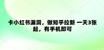 卡小红书漏洞，做知乎拉新 一天3张起，有手机即可-云泽轻创网