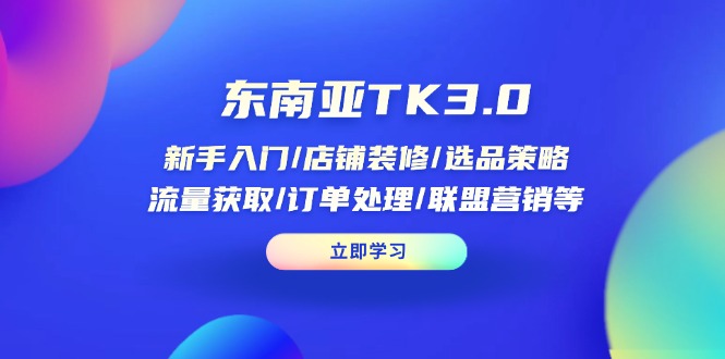 东南亚TK3.0：新手入门/店铺装修/选品策略/流量获取/订单处理/联盟营销等-云泽轻创网