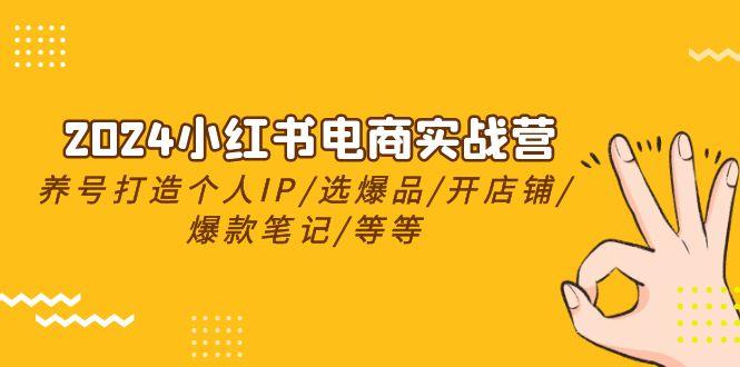 2024小红书电商实战营，养号打造IP/选爆品/开店铺/爆款笔记/等等(24节)-云泽轻创网