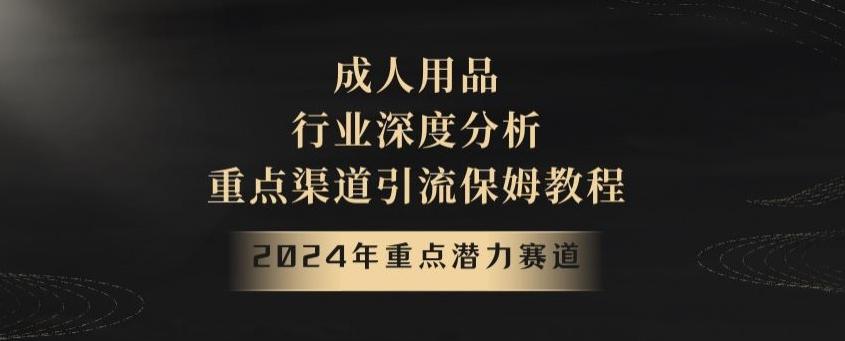 2024年重点潜力赛道，成人用品行业深度分析，重点渠道引流保姆教程【揭秘】-云泽轻创网