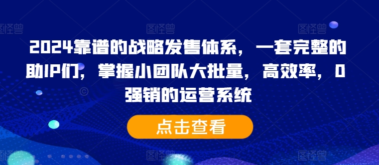 2024靠谱的战略发售体系，一套完整的助IP们，掌握小团队大批量，高效率，0 强销的运营系统-云泽轻创网